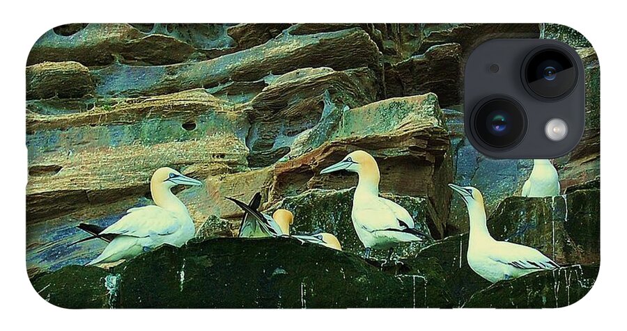 Birds iPhone 14 Case featuring the photograph Family by HweeYen Ong