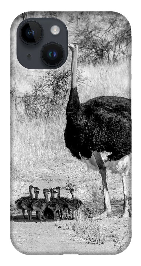 Ostrich iPhone 14 Case featuring the photograph Fathers Day by Chris Scroggins