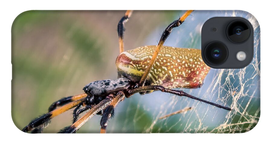 America iPhone 14 Case featuring the photograph Female Nephila clavipes by Traveler's Pics