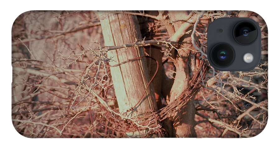 Fence iPhone 14 Case featuring the photograph Fence Post Buddy by Troy Stapek