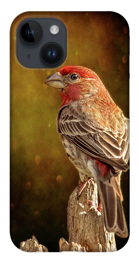 Animal iPhone 14 Case featuring the photograph Finch From The Back by Bill and Linda Tiepelman