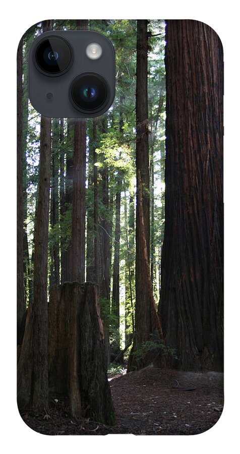 Firemark Redwoods iPhone 14 Case featuring the photograph Firemark Redwoods by Dylan Punke
