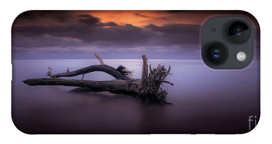 Italian Beach iPhone 14 Case featuring the photograph Firewood by Marco Crupi