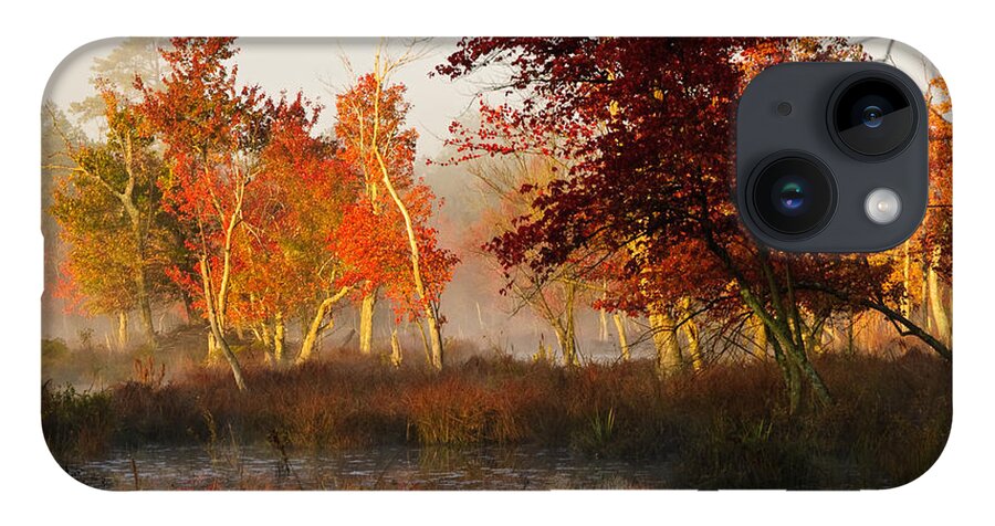 Landscape iPhone Case featuring the photograph First Light at The Pine Barrens by Louis Dallara