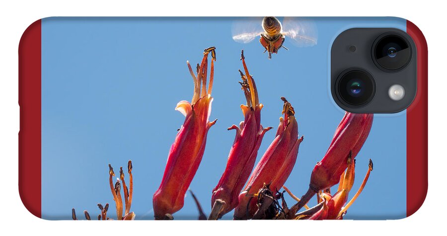 Flowers iPhone 14 Case featuring the photograph Flight of the Bumble Bee by Derek Dean