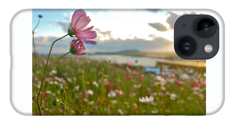 Wild Flowers iPhone Case featuring the photograph Floral Sunset by HweeYen Ong