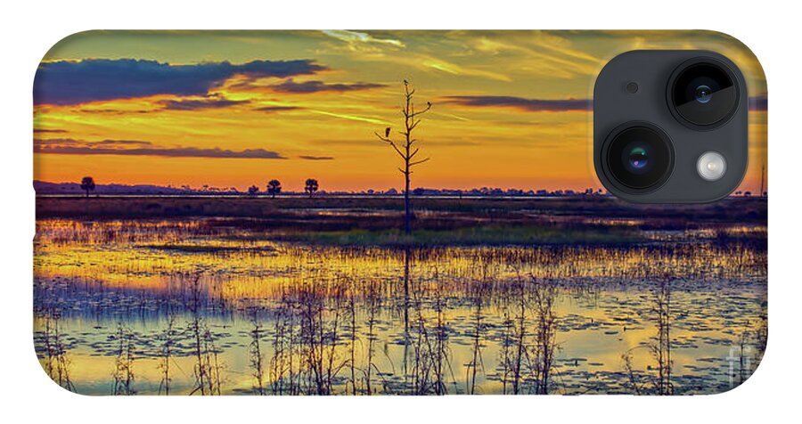 Bird iPhone 14 Case featuring the photograph Florida Nature Paradise by DB Hayes