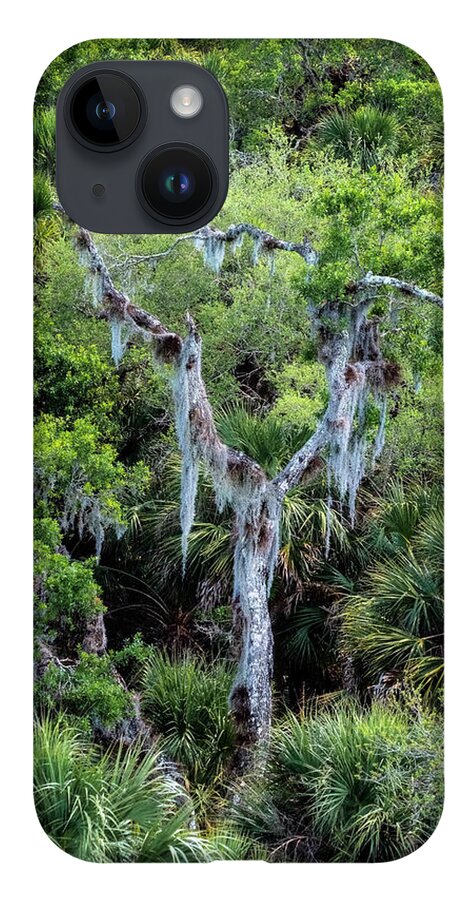 North Port Florida iPhone 14 Case featuring the photograph Florida Spanish Moss by Tom Singleton