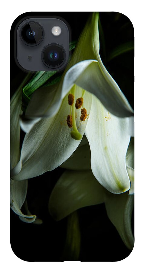 Blooming iPhone 14 Case featuring the photograph Flowing White lily by Dennis Dame