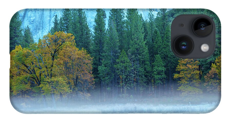Nature iPhone Case featuring the photograph Fog-Frost-Fall by Jonathan Nguyen