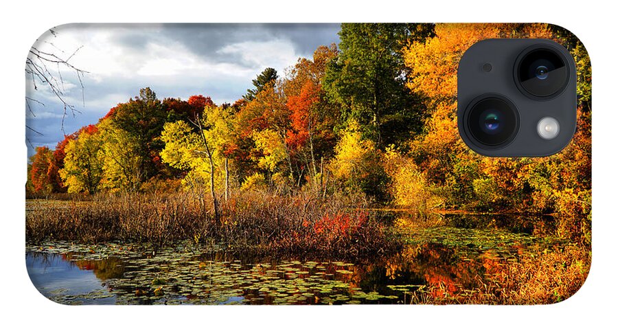 Fall iPhone 14 Case featuring the photograph Foliage along Ipswich river by Lilia D