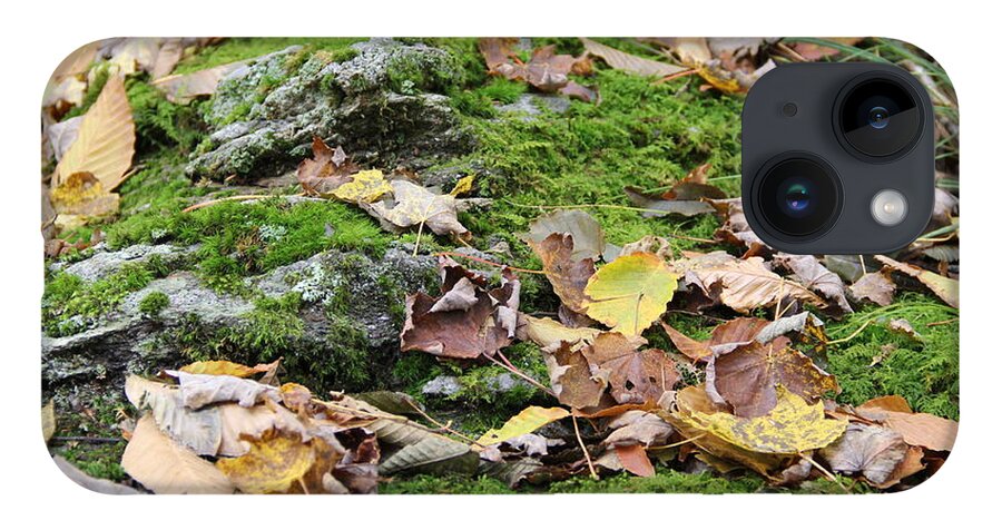 Moss iPhone 14 Case featuring the photograph Forest Floor by Allen Nice-Webb