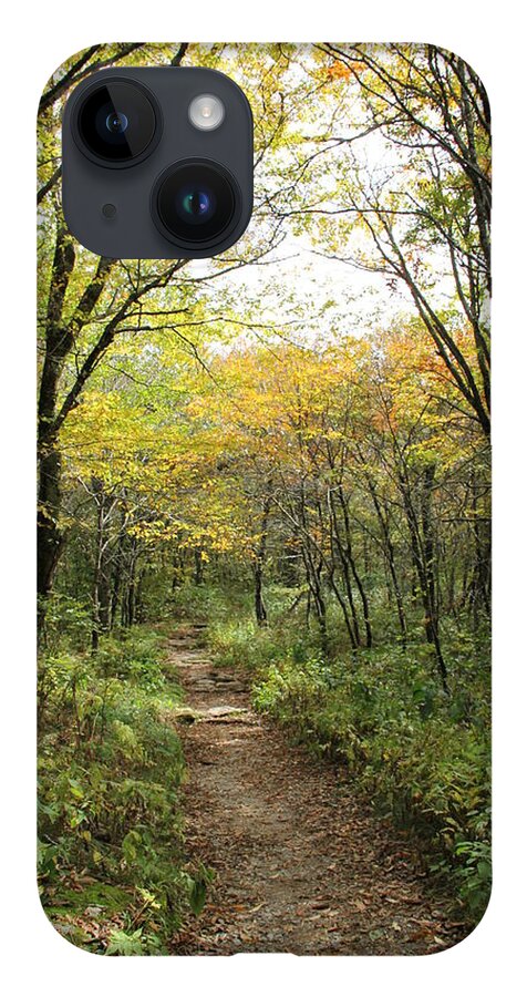 Bright Path iPhone 14 Case featuring the photograph Forest Trail by Allen Nice-Webb