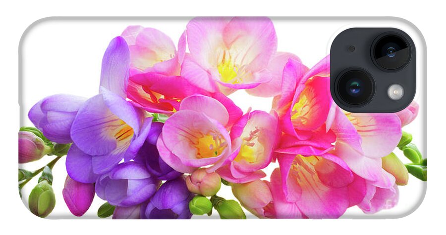 Freesia iPhone 14 Case featuring the photograph Fresh Pink and Violet Freesia Flowers by Anastasy Yarmolovich