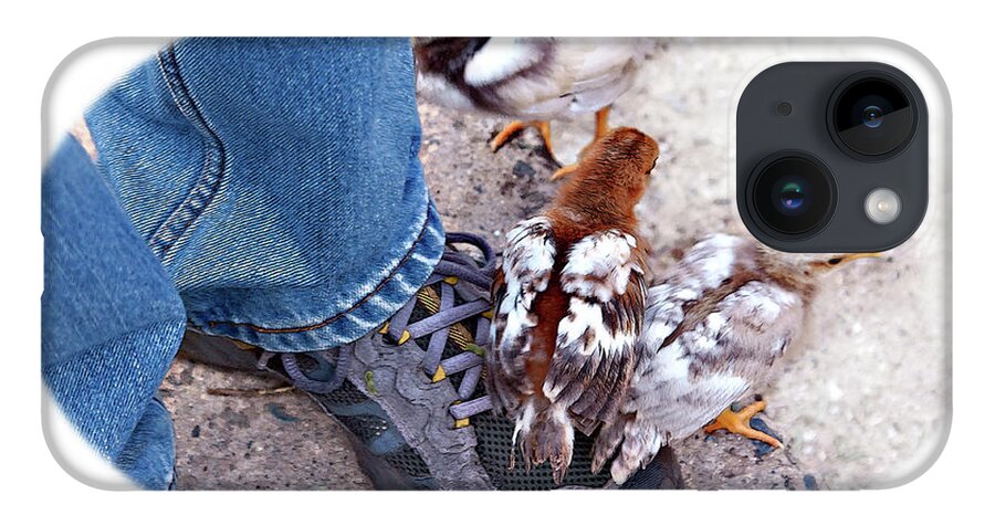 Chicken iPhone 14 Case featuring the photograph Friends by Tatiana Travelways