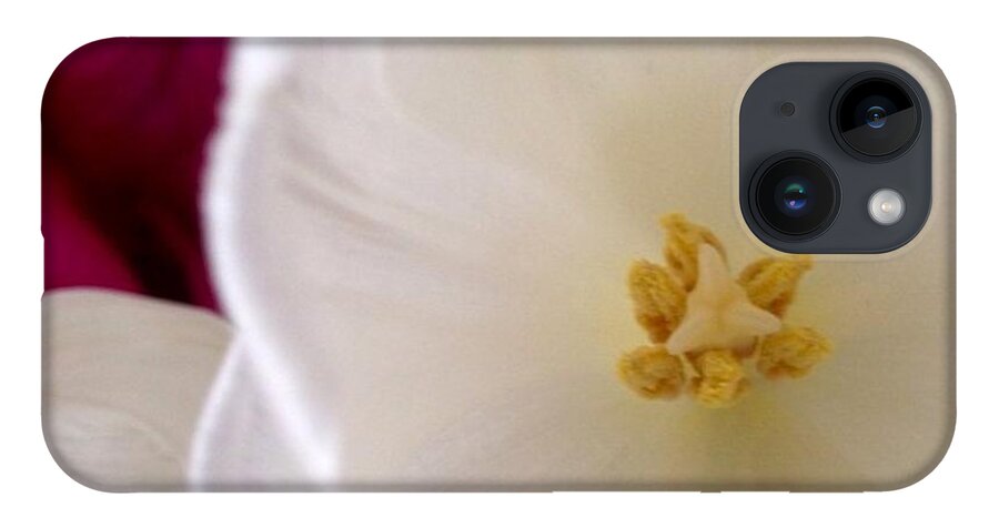 Flowers iPhone 14 Case featuring the photograph Friendship by Denise Railey