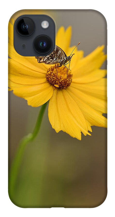 2015 iPhone 14 Case featuring the photograph Fritillary on Coreopsis by Robert Charity