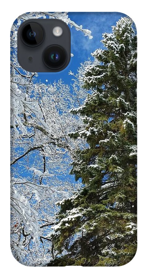 Winter iPhone Case featuring the photograph Frozen Evergreen by Vic Ritchey