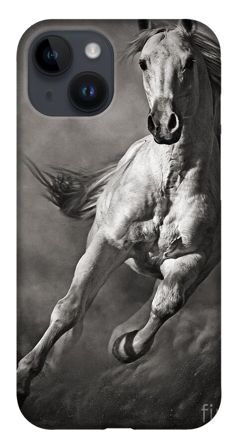 Horse iPhone 14 Case featuring the photograph Galloping White Horse in Dust by Dimitar Hristov