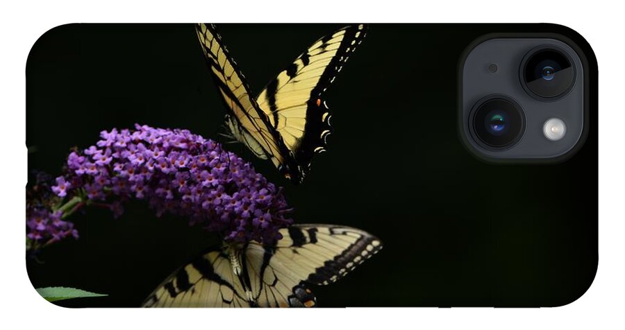 Butterfly iPhone 14 Case featuring the photograph Garden of Eden by Carolyn Mickulas