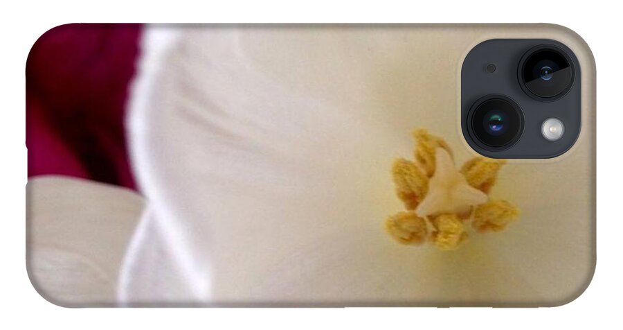 Flowers iPhone Case featuring the photograph Gentle			 by Denise Railey