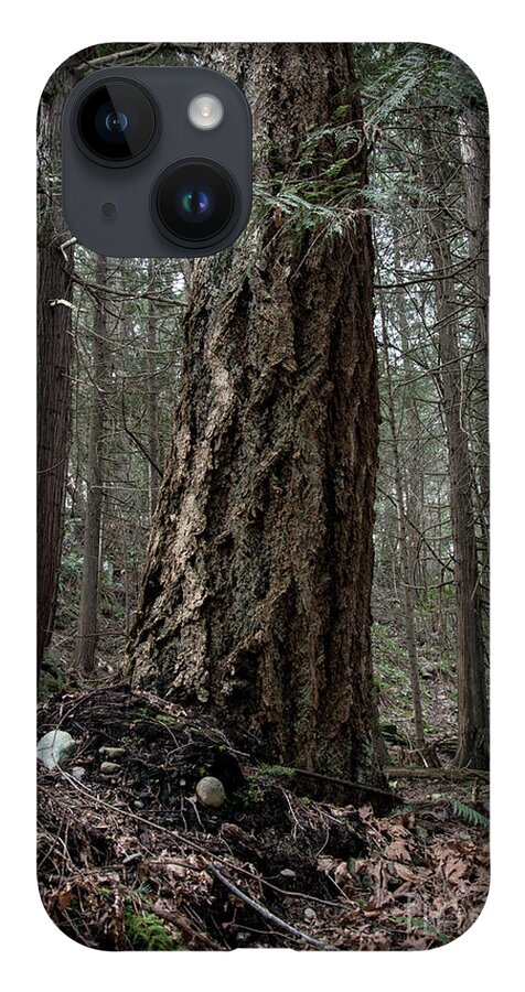 Tree iPhone 14 Case featuring the photograph Giant by David Hillier