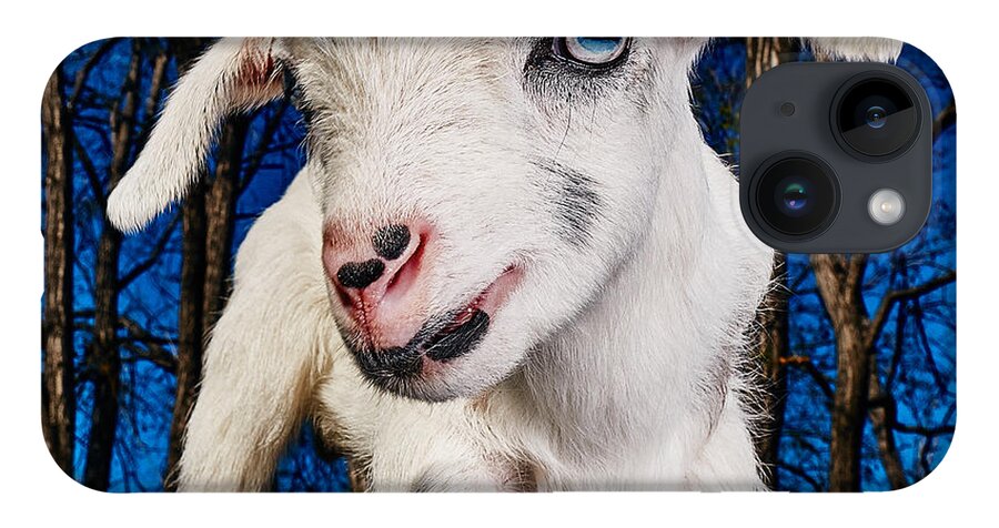 Goat iPhone 14 Case featuring the photograph Goat High Fashion Runway by TC Morgan