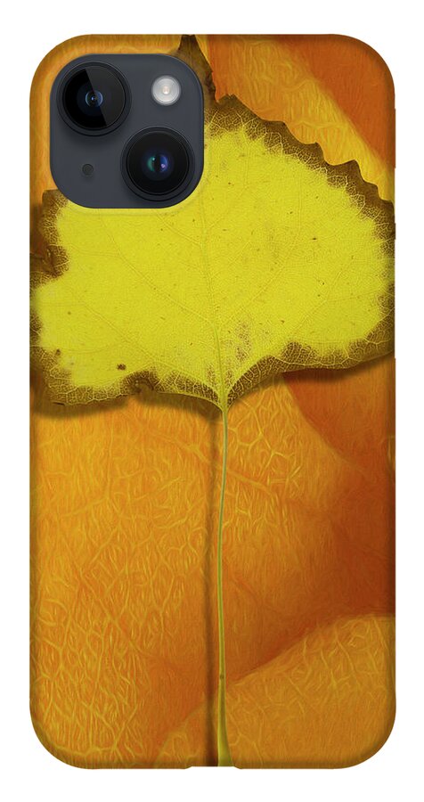 Desert Forest Garden iPhone Case featuring the digital art Golden Oldie by Becky Titus
