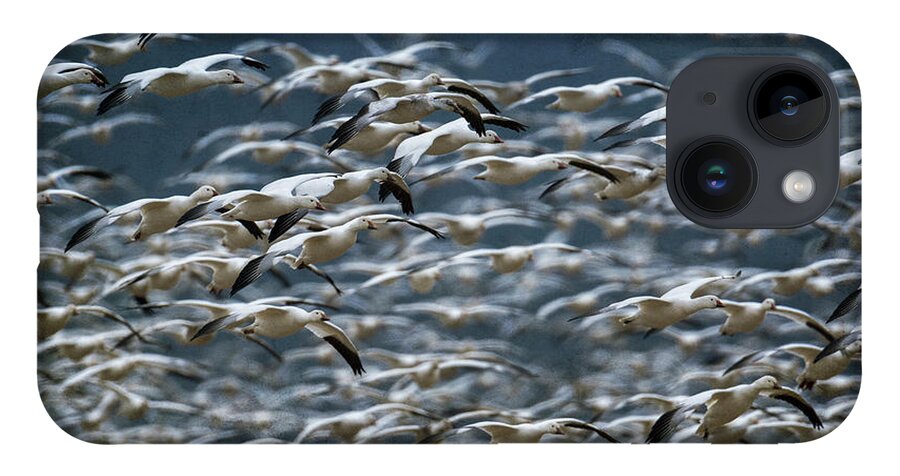 Flock iPhone 14 Case featuring the photograph Gotta Go by Craig Leaper