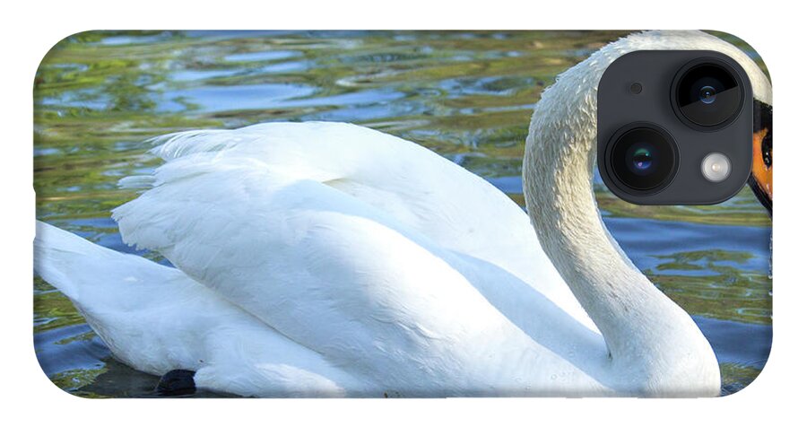 Swan iPhone 14 Case featuring the photograph Grace by Holly Ross