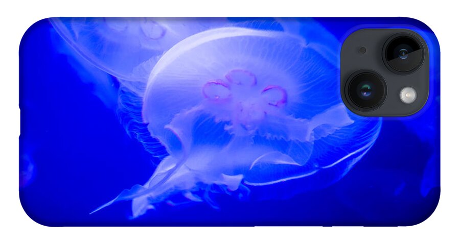 Jellyfish iPhone 14 Case featuring the photograph Graceful by Frank Mari
