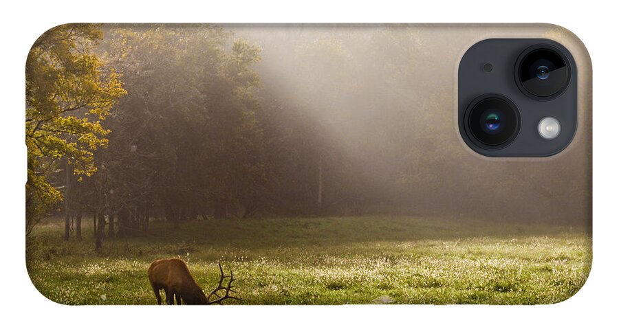 Bull Elk iPhone 14 Case featuring the photograph Grazing Bull Elk at Sunrise by Michael Dougherty