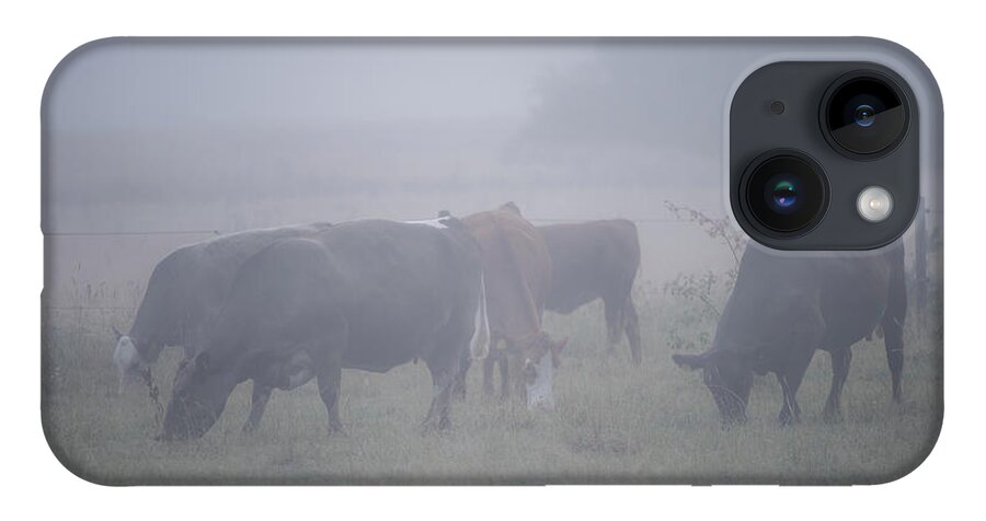 Cows iPhone 14 Case featuring the photograph Grazing cows in the mist by Torbjorn Swenelius