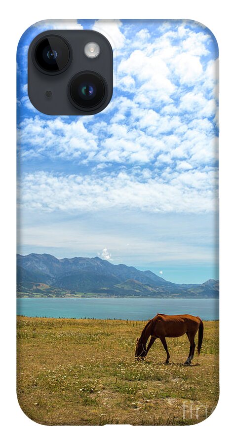 Grazing Horse iPhone 14 Case featuring the photograph Grazing horse at Kaikoura by Sheila Smart Fine Art Photography