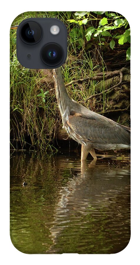 Nature Photography iPhone 14 Case featuring the photograph Great Blue Heron Wading in a Pond by Artful Imagery