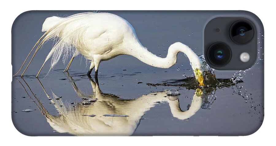 Egrets iPhone 14 Case featuring the photograph Great Egret Diving For Lunch by DB Hayes