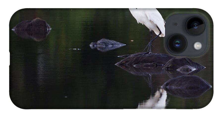 Egret iPhone 14 Case featuring the photograph Great Egret Reflection by Kirkodd Photography Of New England
