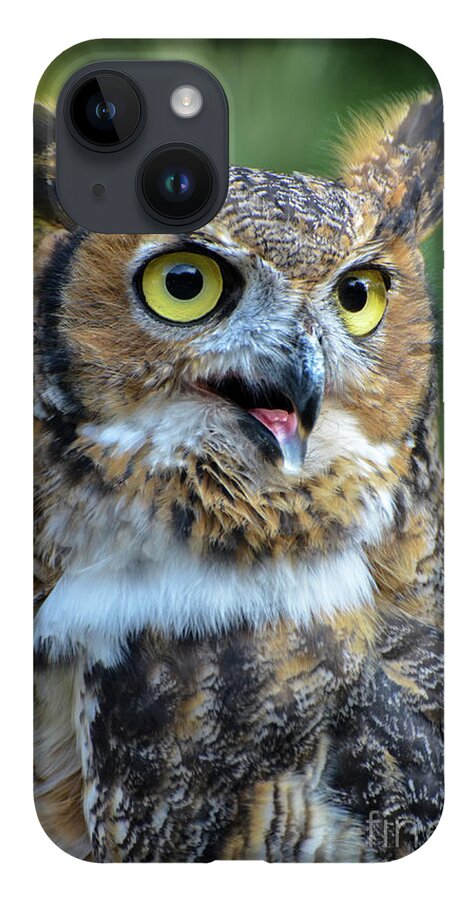 Great Horned Owl iPhone 14 Case featuring the photograph Great Horned Owl Smiling by Amy Porter