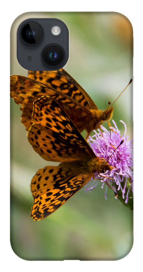 Great Spangled Fritillary iPhone 14 Case featuring the photograph Great Spangled Fritillary Couple by Holden The Moment