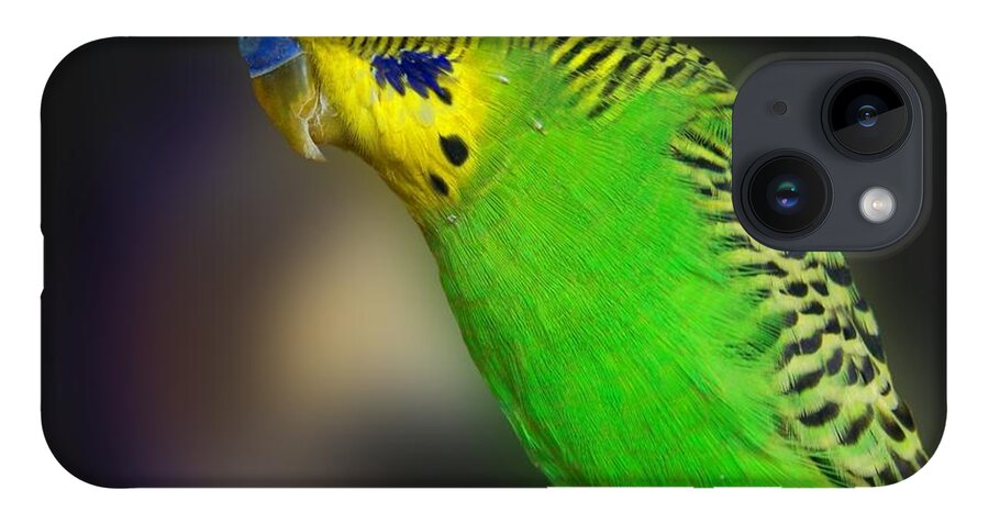 Bird iPhone 14 Case featuring the photograph Green Parakeet Portrait by Jai Johnson