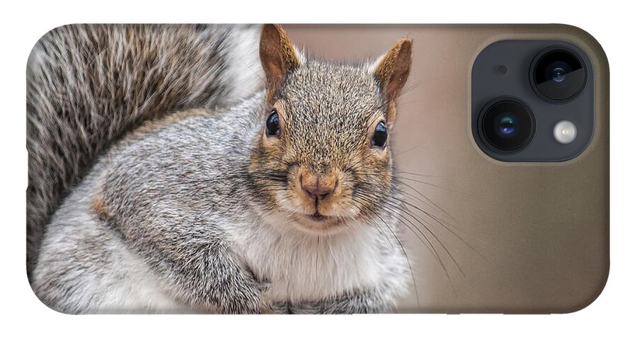 Squirrel iPhone 14 Case featuring the photograph Greetings by Cathy Kovarik