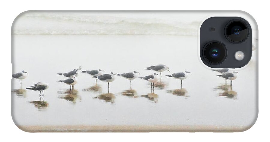 Birds iPhone Case featuring the photograph Grounded By Fog by Christopher Holmes