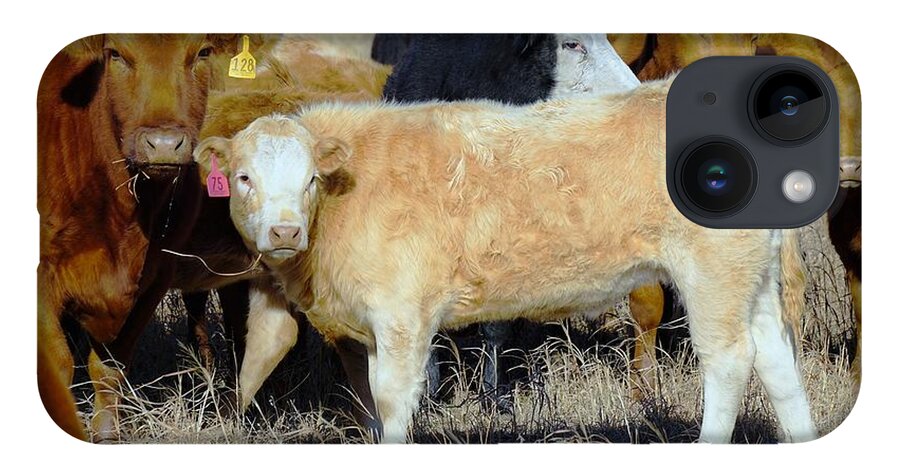 Calf iPhone 14 Case featuring the photograph Growing up by Merle Grenz
