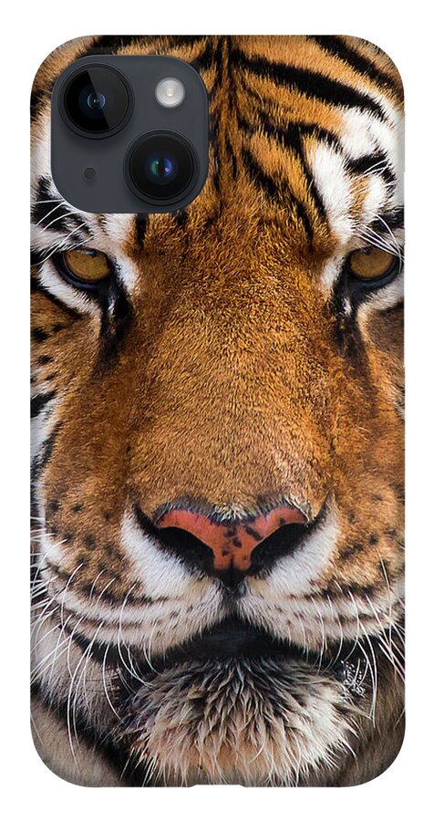 Heidenreich iPhone 14 Case featuring the photograph Hunter's Displeasure by American Landscapes