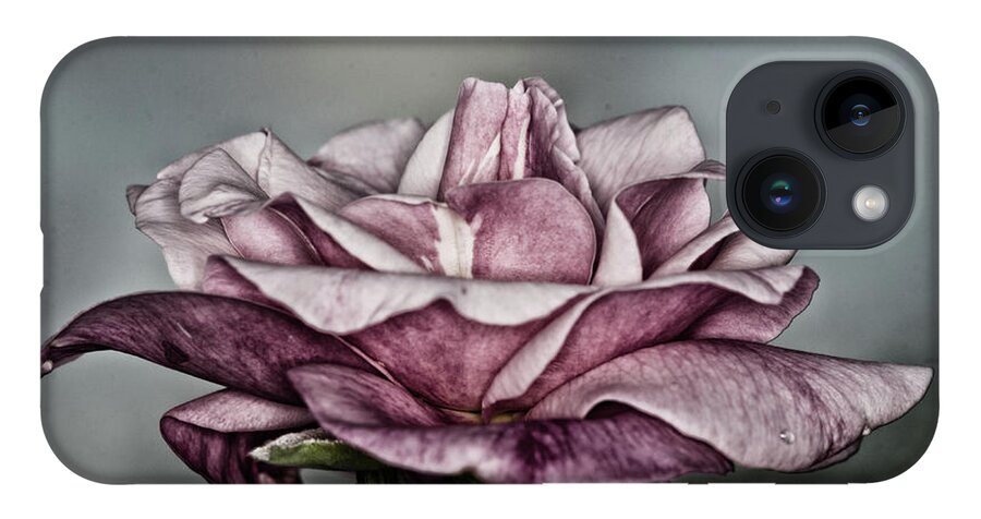 Rose iPhone 14 Case featuring the photograph Grungy Rose by Artful Imagery