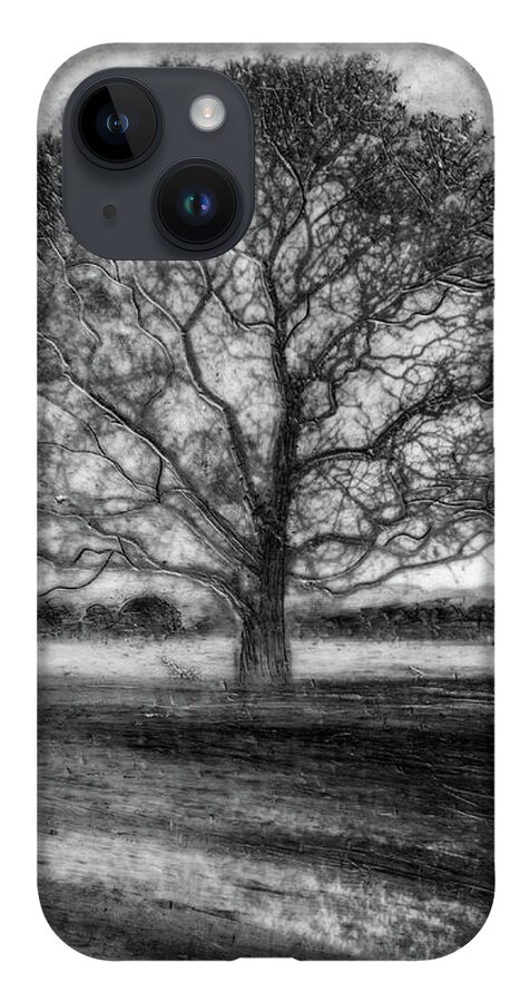 Trees iPhone 14 Case featuring the mixed media Hagley Tree 2 by Roseanne Jones