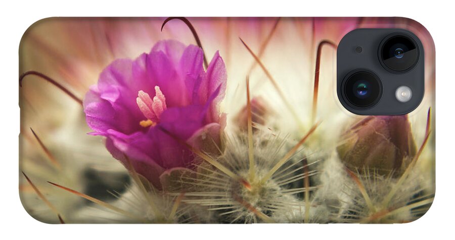 Cactus iPhone 14 Case featuring the photograph Handle with Care by Holly Ross