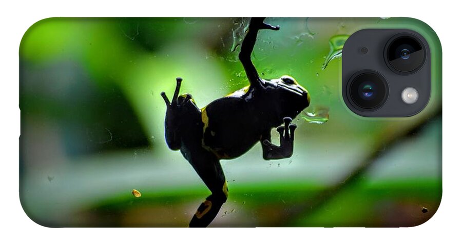 Frog iPhone 14 Case featuring the photograph Hang in There by Michael Brungardt