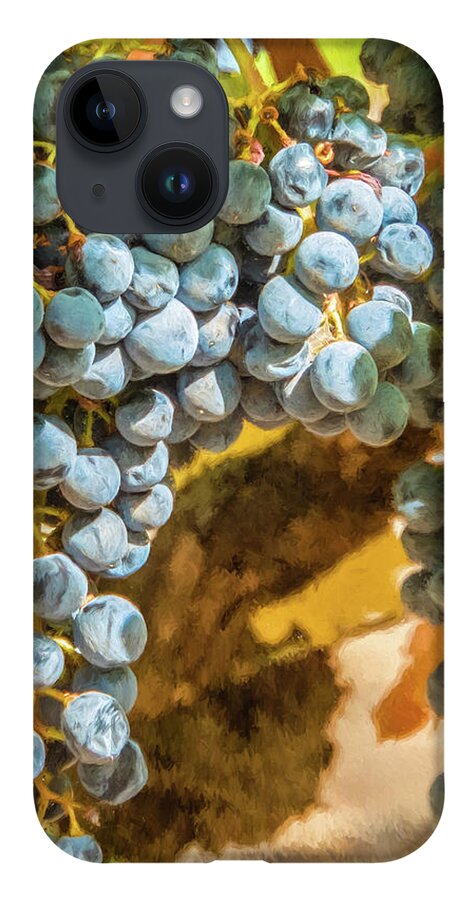 California iPhone 14 Case featuring the photograph Hanging Wine by David Letts