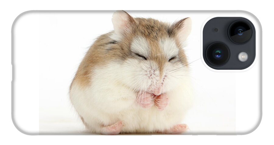 Roborovski Hamster iPhone 14 Case featuring the photograph Happy Hammy by Warren Photographic